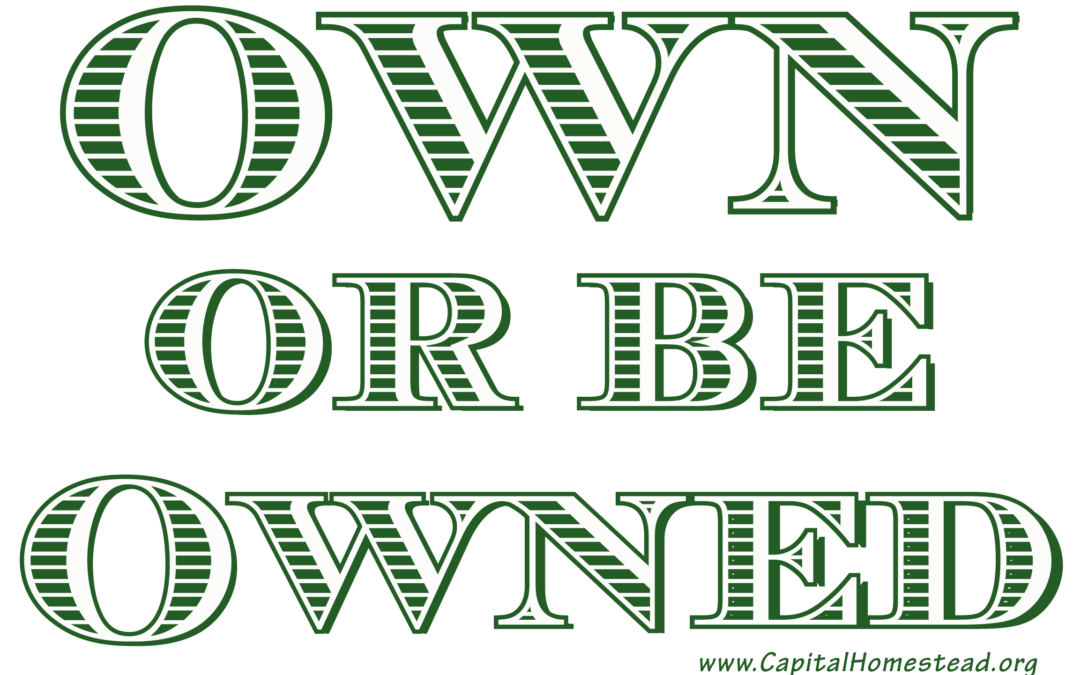 Own or be Owned Logo Green Currency